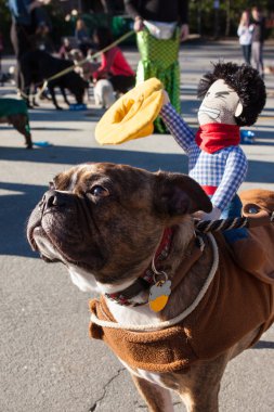 Dog Wears Cowboy Doll On Back At Eclectic Costume Parade clipart