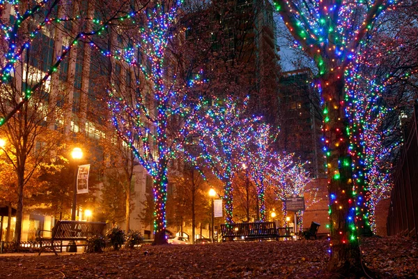 Renkli Holiday Lights Midtown Atlanta ağaçlarda süslüyor
