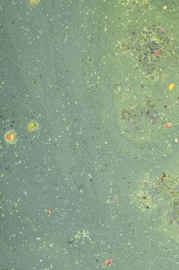 Deredeki kalın yeşil balçık kozmik ya da yıldızlar arası gibi görünen grunge yeşil bir element oluşturur..