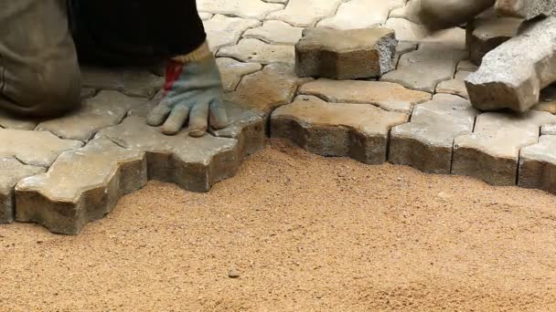 Worker installing old cobblestone block for build floor ground (Time Lapse) — Stock Footage Worker installing old cobblestone block for build floor ground (Time Lapse) Royalty Free Stock Video