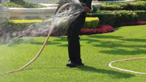 Homem que molha no gramado verde bonito — Vídeo de Stock