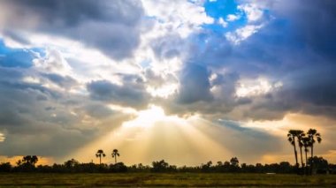 Güzel güneş üzerinde kırsal manzara (pan vurdu)