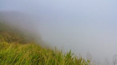 Phu Chee Fah ünlü doğa hedef seyahat, Chiang Rai, Tayland (yakınlaştırma)