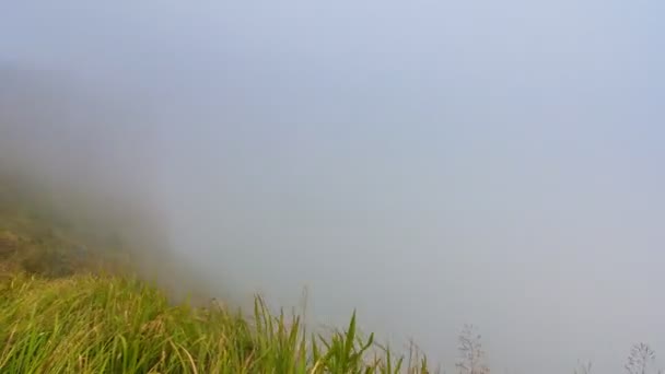 Phu Chee Fah célèbre destination nature Voyage de Chiang Rai, Thaïlande (panoramique )