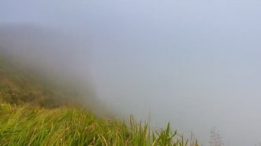 Phu Chee Fah ünlü doğa hedef seyahat, Chiang Rai, Tayland (pan vurdu)