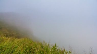 Phu Chee Fah ünlü doğa hedef seyahat, Chiang Rai, Tayland (tilt aşağı)