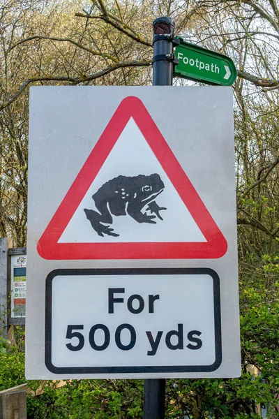 500 Metre Ilerideki Göçmen Kurbağaları Uyarın — Stok fotoğraf