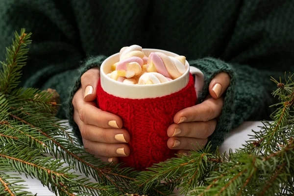 Female Hands Holding Cup Cocoa Table Christmas Tree Branches Christmas — Stock Photo, Image