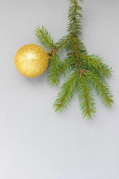 Borovice Větev Žlutým Vánoční Stromeček Dekorace Šedém Pozadí Byt Ležel — Stock fotografie