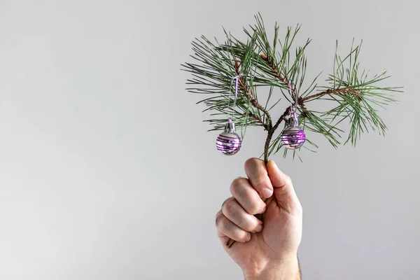 Natural Pine Branch Christmas Tree Decorations Male Hand Gray Background — Stock Photo, Image