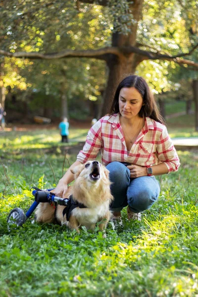 Jovem Com Cachorro Uma Cadeira Rodas Parque Cão Ladra Transeuntes — Fotografia de Stock