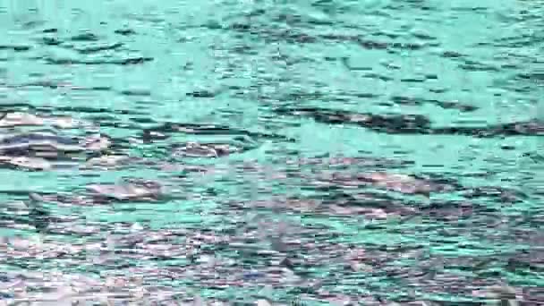 Yüzeyinin Turkuaz Gümüş Mavi Rengi Parlak Dalgalı Yüzeyi Soyut Renkli — Stok video