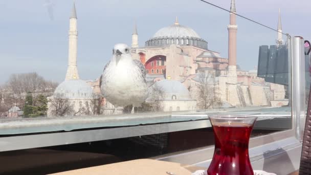 Τουρίστες Πίνουν Τούρκικο Τσάι Εξωτερική Βεράντα Θέα Την Αγία Σοφία — Αρχείο Βίντεο