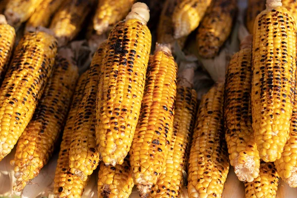 Grilled Corn Cobs Counter Street Food Market — Stock fotografie