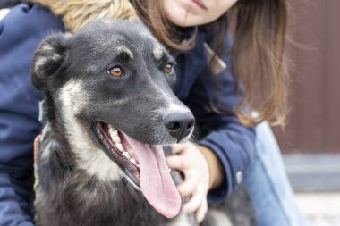 Şirin bir melez köpekle genç bir kadının yakın portresi. Neşeli köpek dilini çıkardı..