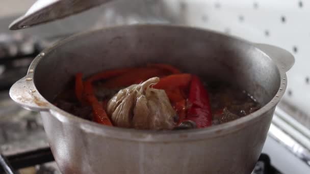 Guisado Com Carne Verduras Ferve Caldeirão Cozinheiro Remove Tampa Panela — Vídeo de Stock