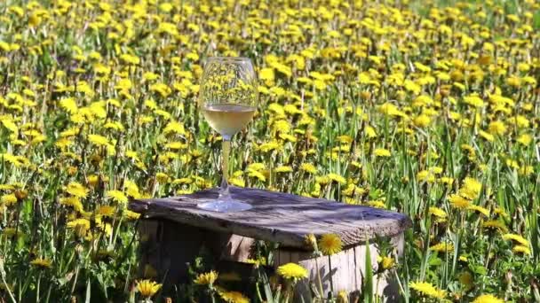フィールドに黄色のタンポポのワインとワイングラス 男はガラスの近くにタンポポの花の花束を置きました — ストック動画