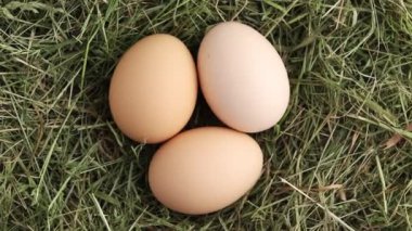 Saman yuvasında serbest tavuk yumurtası. Üç organik çiftlik yumurtası. Üst Manzara. Döndürme.