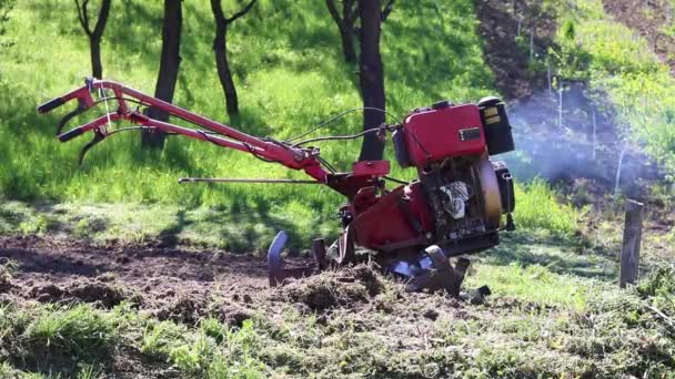 Chodící Traktor Motorem Běžícím Zahradě — Stock video