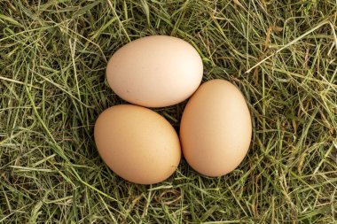 Saman yuvasında serbest tavuk yumurtası. Üç organik çiftlik yumurtası. Üst görünüm.