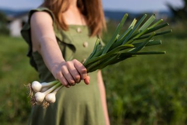 Yeşil elbiseli kadın bir demet genç sarımsak tutuyor. Açık hava fotoğrafı, yakın plan..