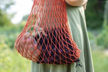 Bir kadın iple alışveriş torbası taşıyor taze olgun meyveler. Açık hava fotoğrafı, yakın plan..