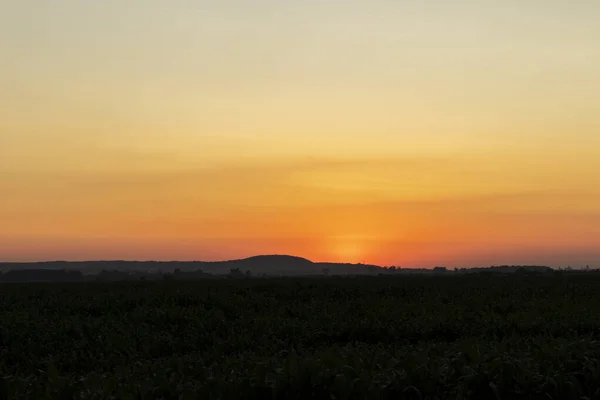 Champ Coucher Soleil Soleil Couchant Sur Horizon Peint Orange Ciel — Photo