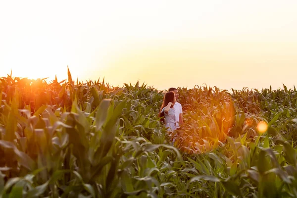 Romantic sensual young couple in love in corn field at sunset. Backlight, lens flare.