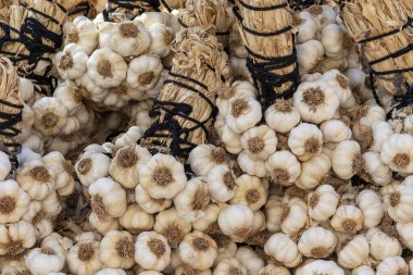 Bir avuç sarımsak soğanı. Taze organik sarımsak hasadı.