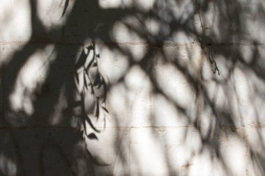 Taş bir duvardaki gölgelerin soyut arkaplanı.