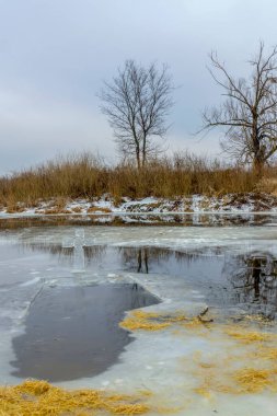 Nehirde yansıyan ağaç, kış.