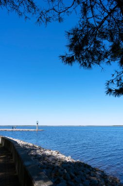 Güneşli bir günde keyifli bir bahar ormanında deniz manzarası