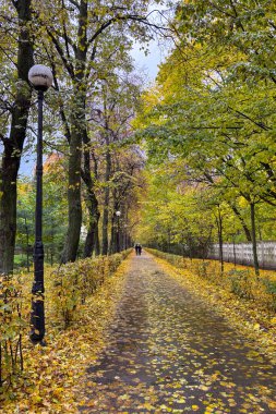 Altın sonbahar renkleri, Ukrayna 'daki eski ahşap evler ve antik kiliseler arasında kırsal bölgeyi aydınlatarak sıcak bir nostaljik atmosfer yaratıyor..