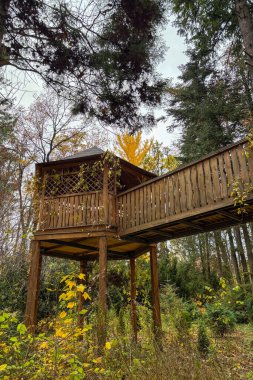 Canlı sonbahar renkleri Ukrayna 'nın NUBiP botanik bahçesini doldurarak, öğleden sonra yürüyüşü için huzurlu ve pitoresk bir ortam yaratıyor..