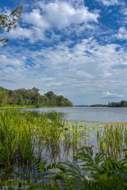 Ukrayna 'nın Kiev kentindeki Dinyeper Nehri' nin sakin manzarası sakin suları gün ışığı altında ve berrak bir gökyüzü altında şehre akıyor..