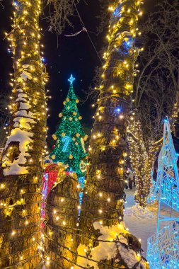 KYIV, UKRAINE - 3 Ocak 2026: Peri Diyarı, Ukrayna Expocenter 'da düzenlenen ve Kyiv' de büyülü bir tatil ortamı yaratan yıllık kış festivali..