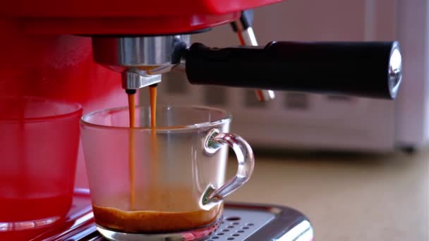 Gros Plan Espresso Coulant Machine Café Café Brassage Professionnel — Video