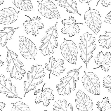 Taslak yapraklardan kusursuz desen. Beyaz arka plan. El çizimi. Vektör illüstrasyonu.