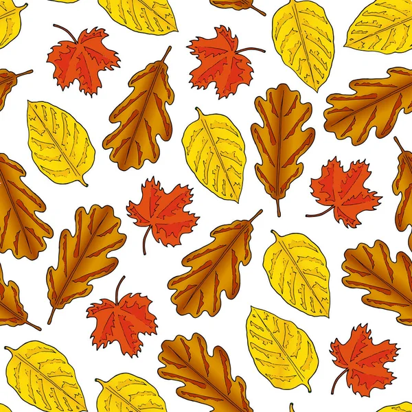 Seamless pattern from autumn leaves. white background. Hand drawing. Vector illustration. — Stock Vector
