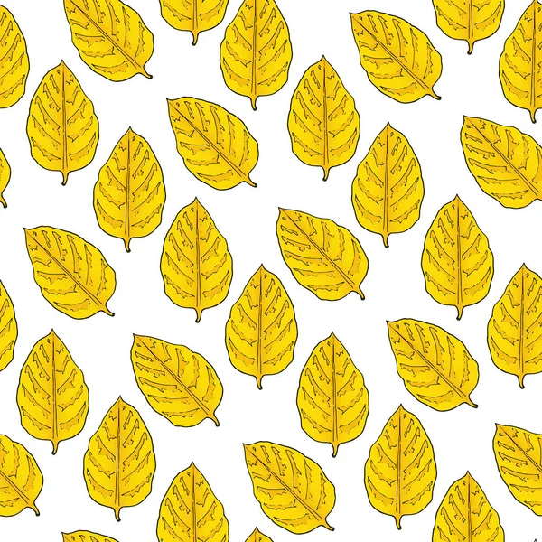 Бесшовный рисунок из жёлтых листьев. белый фон. Ручной рисунок Векторная иллюстрация. — стоковый вектор