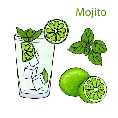 Bir bardak mojito, buz küpleri, nane yaprakları, limon dilimi ve tam limon. El çizimi alkol kokteyli. Çizgi film tarzında vektör illüstrasyonu. Yaz yeşili içecek. Soğuk mojito kokteyli posteri..