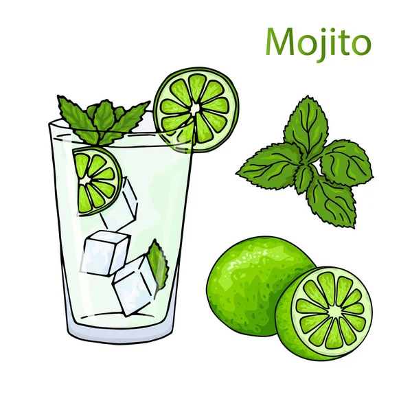 Glas Mojito Eiswürfel Minzblätter Limettenscheiben Und Ganze Limetten Handzeichnender Alkoholcocktail — Stockvektor