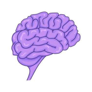 Çizgi film beyni. El çizimi. Vektör çizimi. Tıbbi tasarım objesi. İzole. beyaz arkaplan.