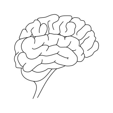 İnsan beyninin ana hatları. Akıl sağlığı. El çizimi. Vektör çizimi. Beyaz arkaplanda tıbbi satır simgesi.