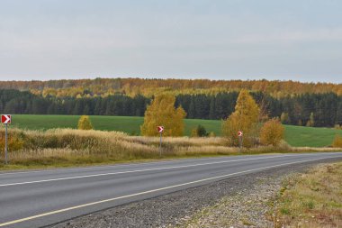 Sonbaharda orman ve tarladan geçen yol
