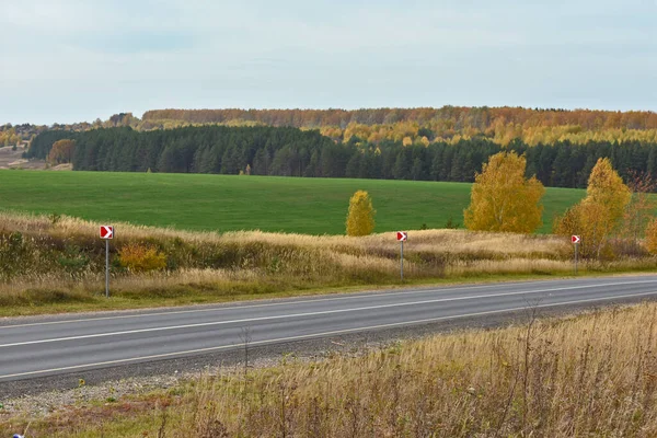 Camino Través Del Bosque Campo Otoño —  Fotos de Stock