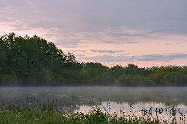 Renkli ve sisli bir şafak küçük bir nehrin üzerinde