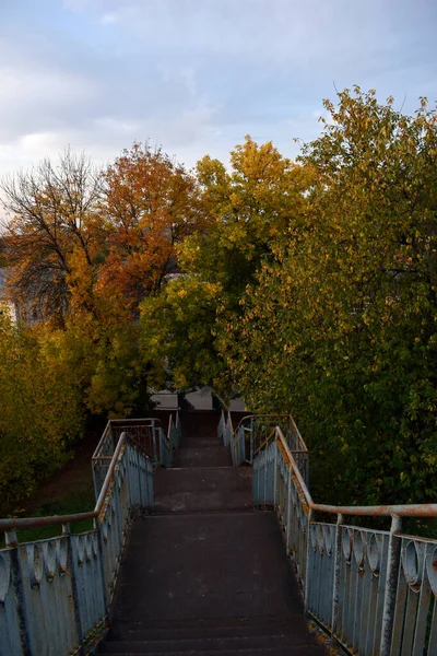 Металлическая Лестница Осеннем Парке — стоковое фото