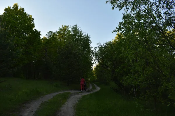 Uomo Cammina Sentiero Forestale — Foto Stock