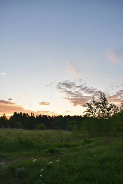 Alba Colorata Una Radura Foresta — Foto Stock